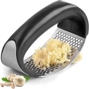 Stainless Steel Garlic Press