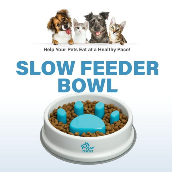 Pet Slow Feeder Bowl 2