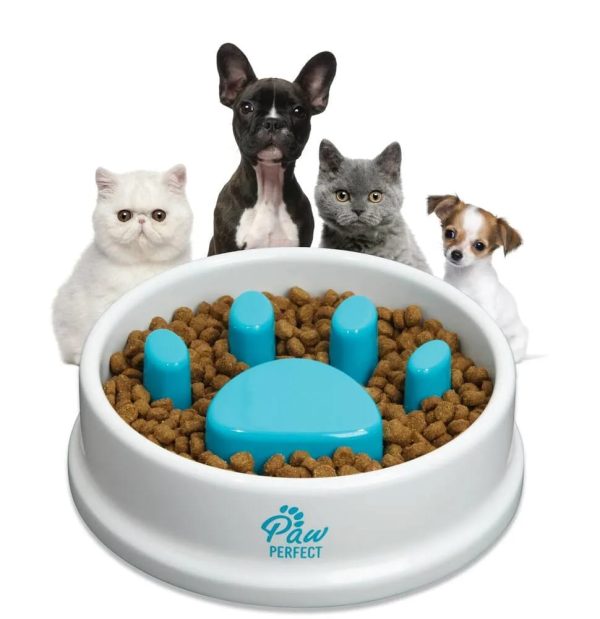 Pet Slow Feeder Bowl 4